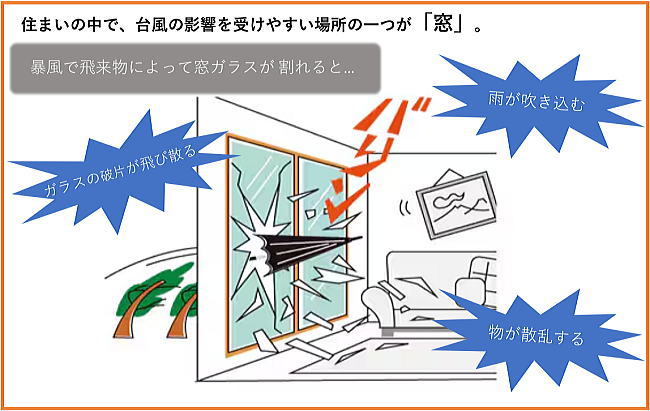 �䕗�̉e�����󂯂鑋